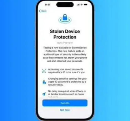 河东区街道苹果授权维修店分享被盗设备保护功能开启方法 