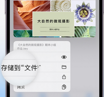 河东区街道apple维修中心分享iPhone文件应用中存储和找到下载文件