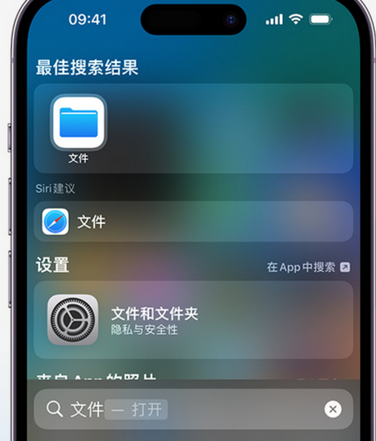 河东区街道apple维修中心分享iPhone文件应用中存储和找到下载文件 