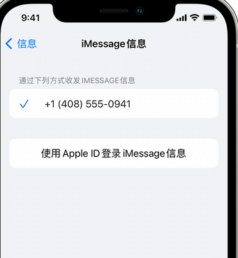 河东区街道apple维修iPhone上无法正常发送iMessage信息 