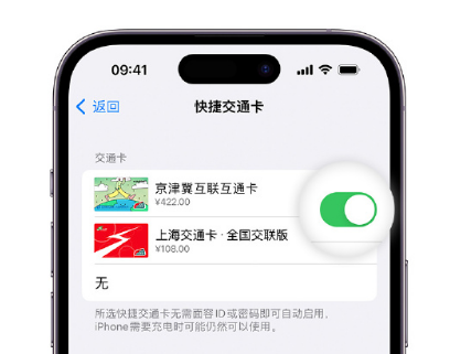 河东区街道apple维修点分享iPhone上更换Apple Pay快捷交通卡手绘卡面 