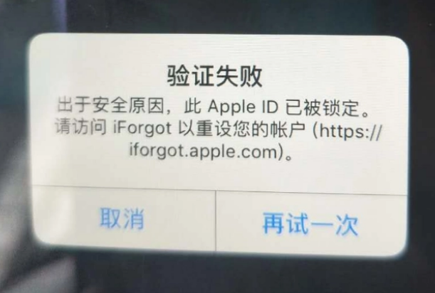 河东区街道iPhone维修分享iPhone上正常登录或使用AppleID怎么办 