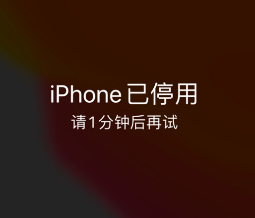 河东区街道苹果手机维修分享:iPhone 显示“不可用”或“已停用”怎么办？还能保留数据吗？ 