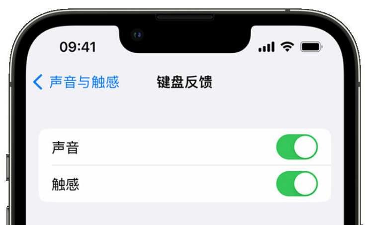 河东区街道苹果手机维修分享iPhone 14触感键盘使用方法 