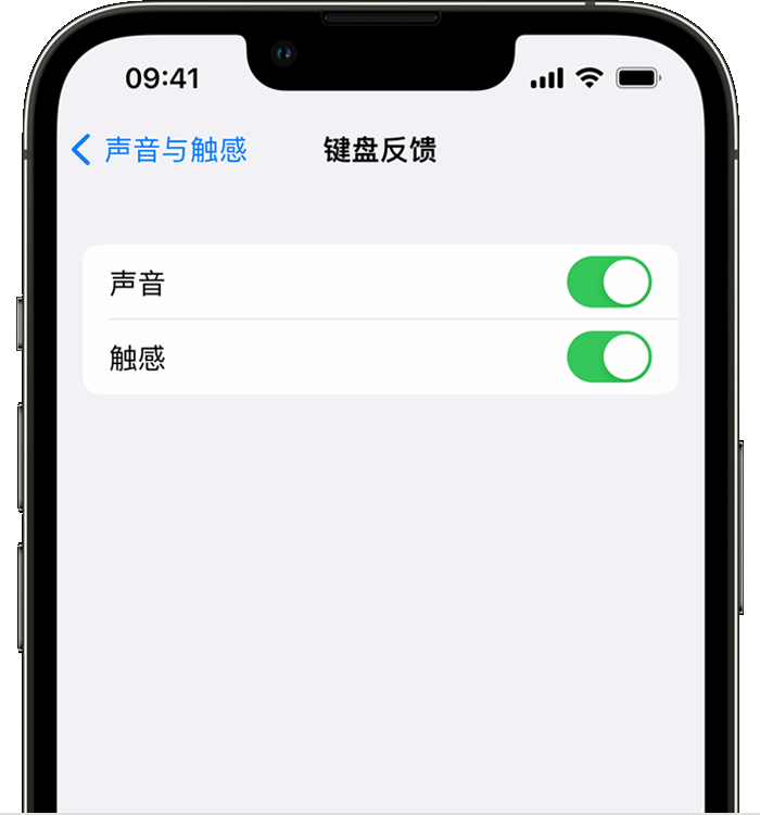 河东区街道苹果14维修店分享如何在 iPhone 14 机型中使用触感键盘 