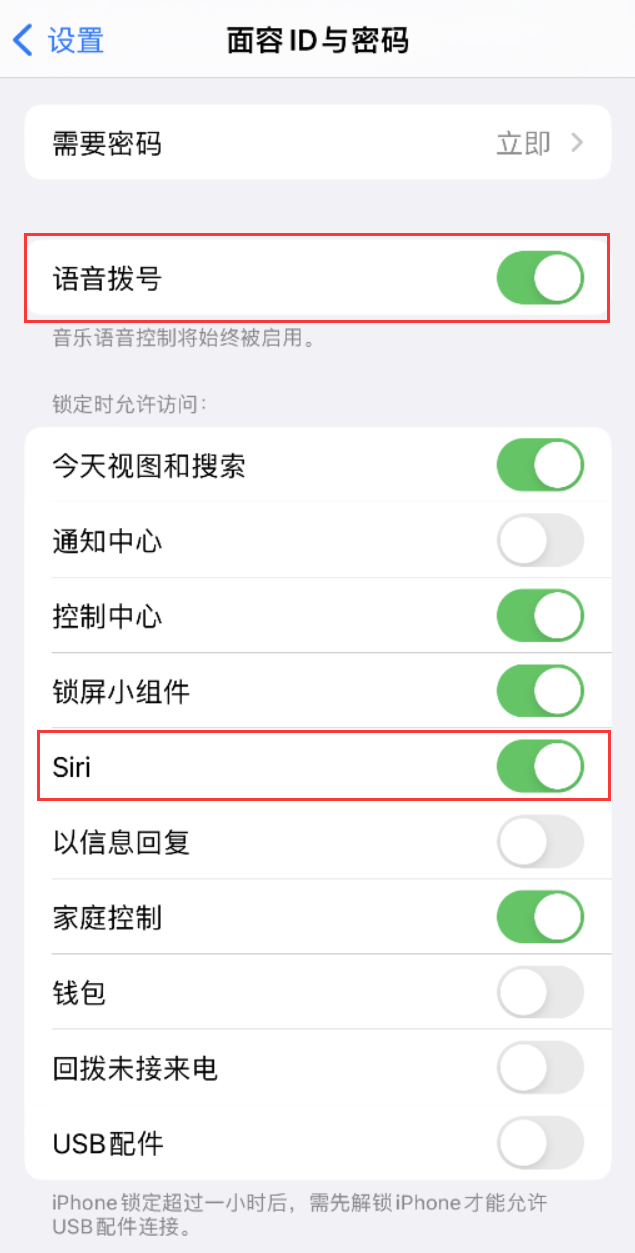 河东区街道苹果维修网点分享不解锁 iPhone 的情况下通过 Siri 拨打电话的方法 