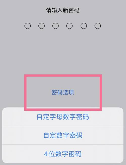 河东区街道苹果14维修分享iPhone 14plus设置密码的方法 