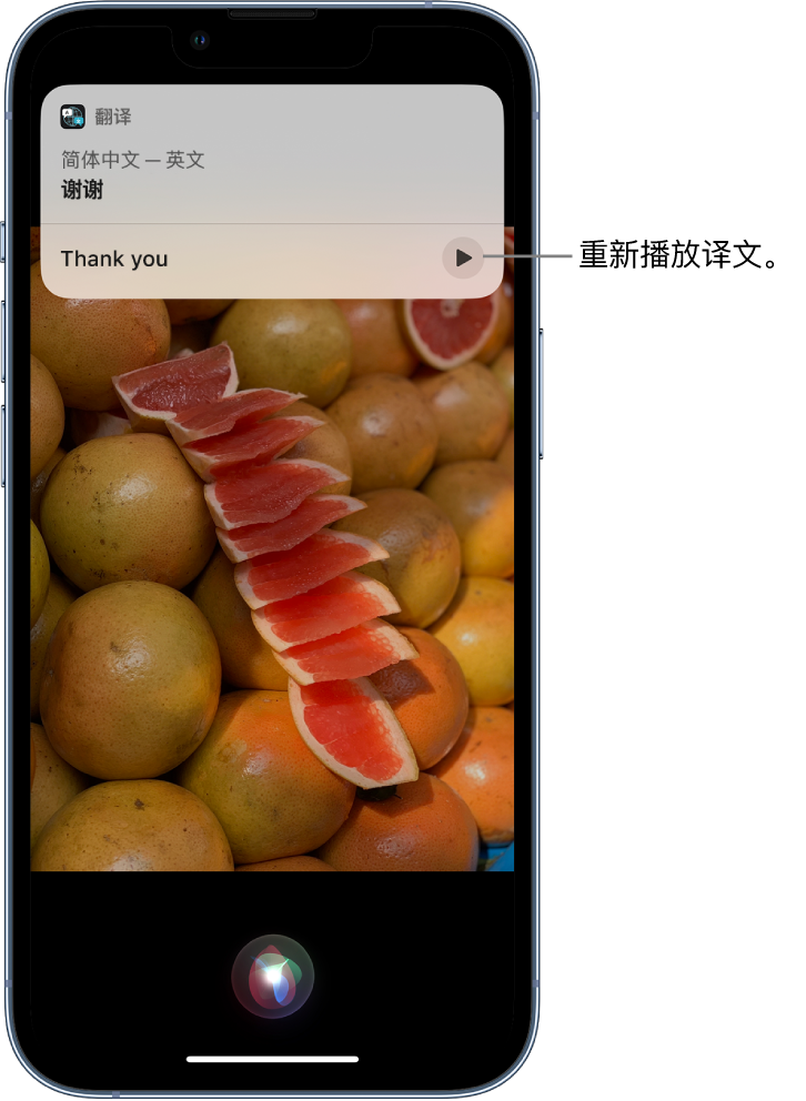 河东区街道苹果14维修分享 iPhone 14 机型中使用 Siri：了解 Siri 能帮你做什么 