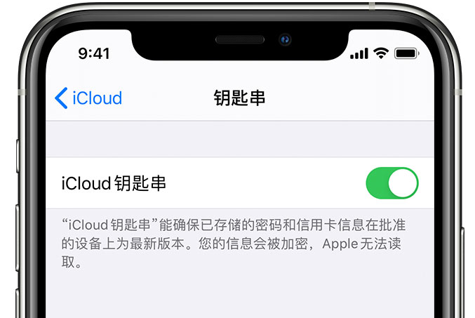 河东区街道苹果手机维修分享在 iPhone 上开启 iCloud 钥匙串之后会储存哪些信息 