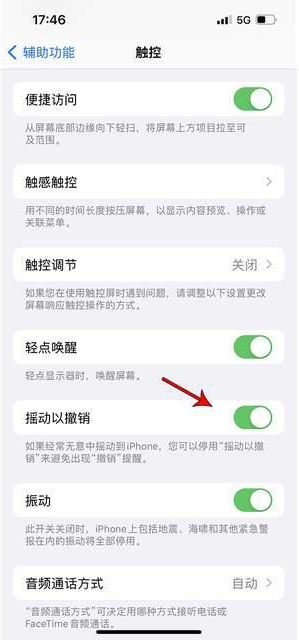 河东区街道苹果手机维修分享iPhone手机如何设置摇一摇删除文字 